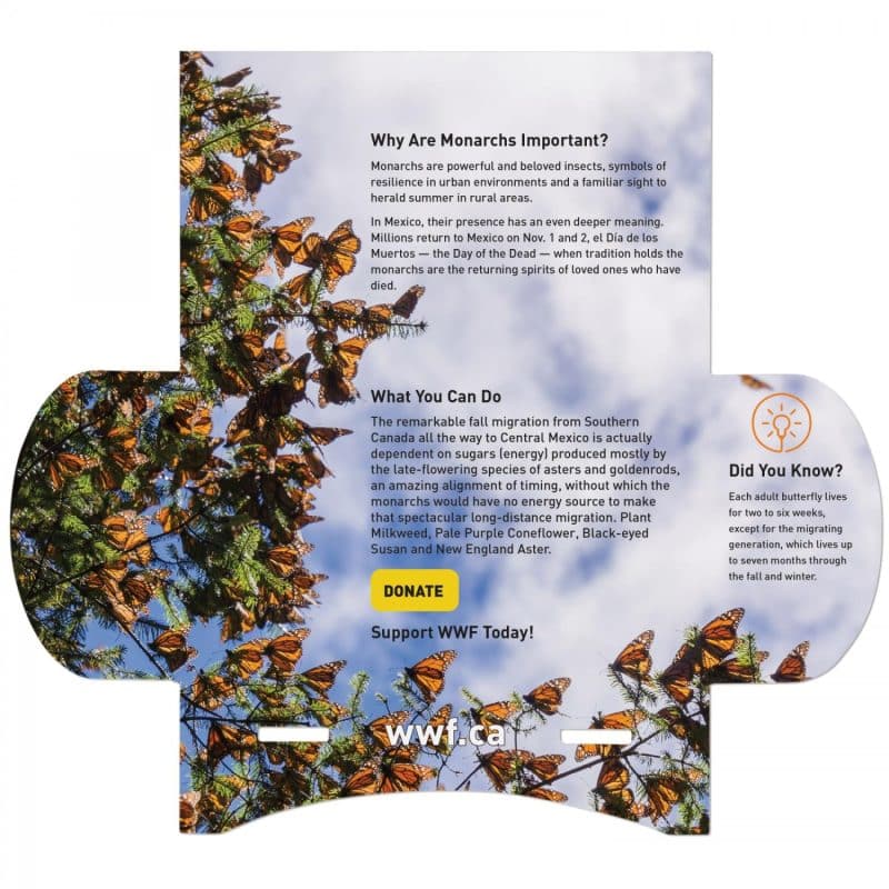 With Kiwi Scent And Large Customizable Sleeve 0 07 Fl Oz / 2 Ml Per Packet - 2
