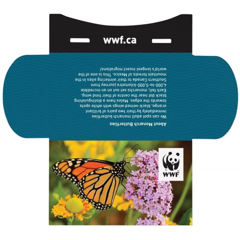 With Kiwi Scent And Large Customizable Sleeve 0 07 Fl Oz / 2 Ml Per Packet - 3