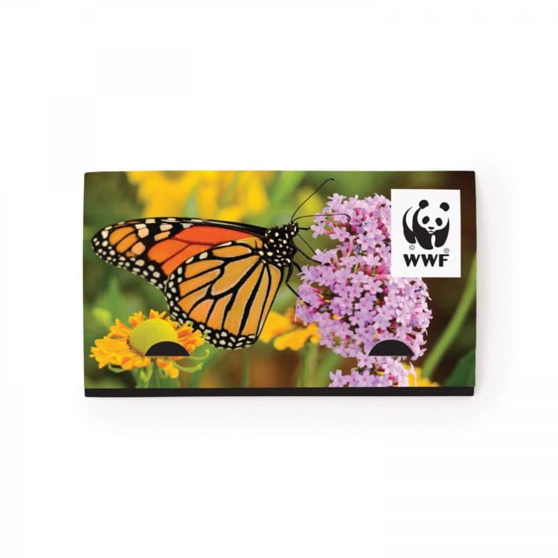 With Kiwi Scent And Large Customizable Sleeve 0 07 Fl Oz / 2 Ml Per Packet - 7