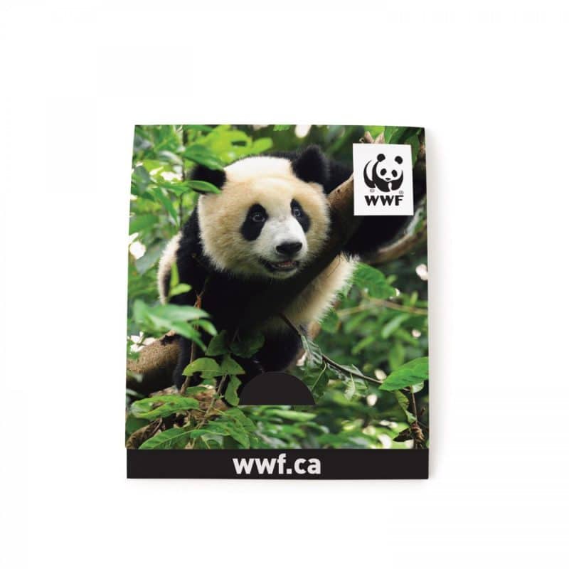 With Kiwi Scent And Small Customizable Sleeve 0 07 Fl Oz / 2 Ml Per Packet - 7